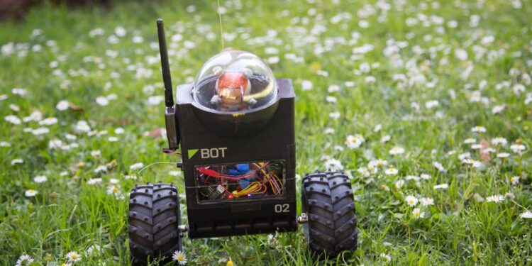 Build Future-Ready Skills Through Automation