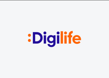 Challenges in DigiLife Development and Solutions